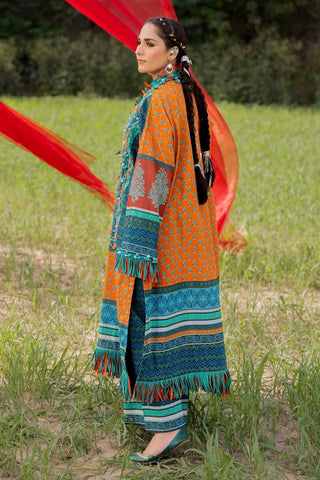KCGA00066_5.jpg